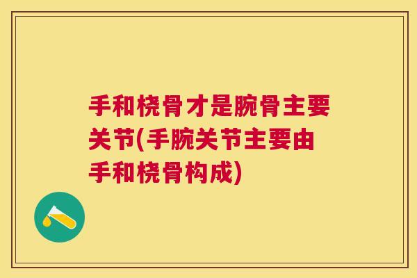 手和桡骨才是腕骨主要关节(手腕关节主要由手和桡骨构成)