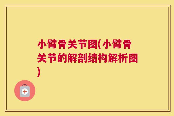 小臂骨关节图(小臂骨关节的解剖结构解析图)