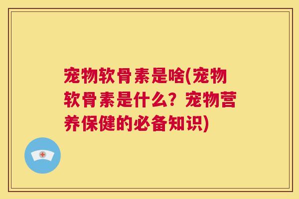 宠物软骨素是啥(宠物软骨素是什么?宠物营养保健的必备知识)