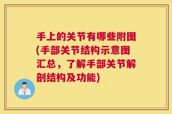 手上的关节有哪些附图(手部关节结构示意图汇总,了解手部关节解剖结构及功能) 手上的关节有哪些附图(手部关节结构示意图汇总,了解手部关节解剖结构及功能)