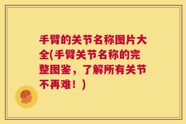 手臂的关节名称图片大全(手臂关节名称的完整图鉴,了解所有关节不再难!)