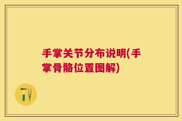手掌关节分布说明(手掌骨骼位置图解)