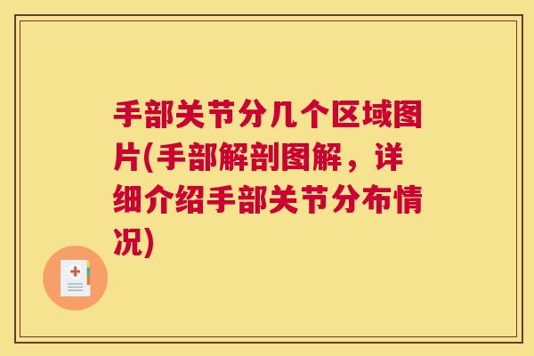 手部关节分几个区域图片(手部解剖图解，详细介绍手部关节分布情况)