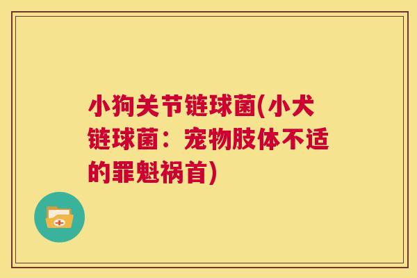 小狗关节链球菌(小犬链球菌：宠物肢体不适的罪魁祸首)