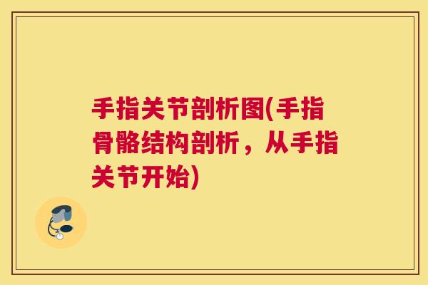 手指关节剖析图(手指骨骼结构剖析，从手指关节开始)