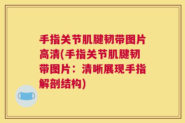 手指关节肌腱韧带图片高清(手指关节肌腱韧带图片:清晰展现手指解剖结构)