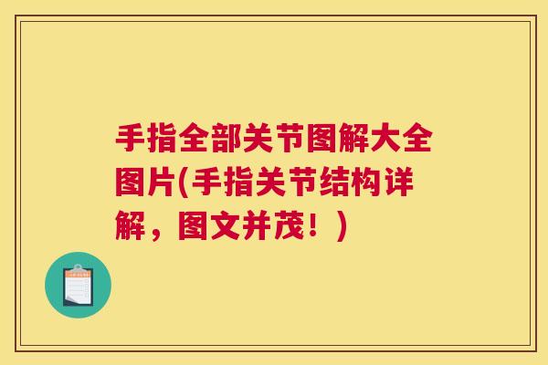 手指全部关节图解大全图片(手指关节结构详解，图文并茂！)