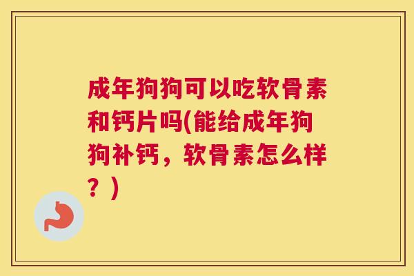 成年狗狗可以吃软骨素和钙片吗(能给成年狗狗补钙,软骨素怎么样?)