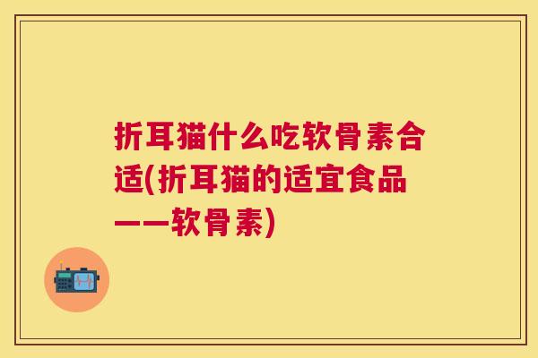 折耳猫什么吃软骨素合适(折耳猫的适宜食品——软骨素)