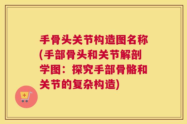 手骨头关节构造图名称(手部骨头和关节解剖学图:探究手部骨骼和关节的复杂构造) 手骨头关节构造图名称(手部骨头和关节解剖学图:探究手部骨骼和关节的复杂构造)