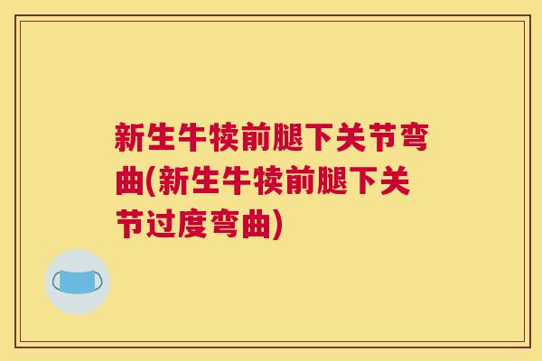 新生牛犊前腿下关节弯曲(新生牛犊前腿下关节过度弯曲)
