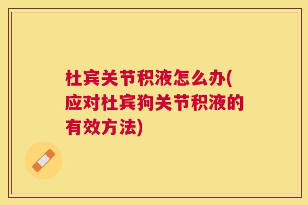 杜宾关节积液怎么办(应对杜宾狗关节积液的有效方法)