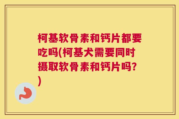 柯基软骨素和钙片都要吃吗(柯基犬需要同时摄取软骨素和钙片吗？)