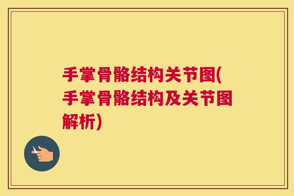 手掌骨骼结构关节图(手掌骨骼结构及关节图解析)
