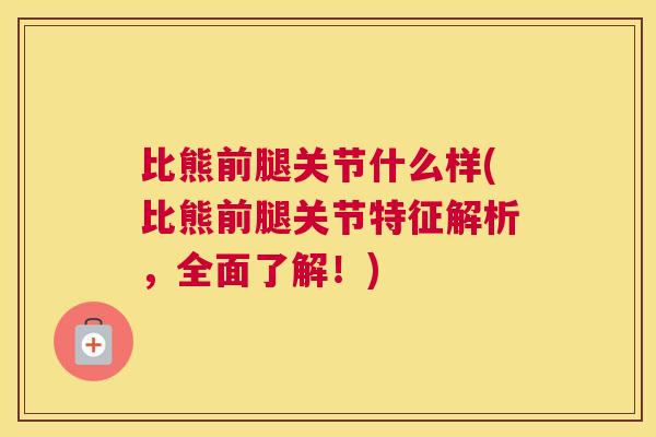 比熊前腿关节什么样(比熊前腿关节特征解析,全面了解!) 比熊前腿关节什么样(比熊前腿关节特征解析,全面了解!)