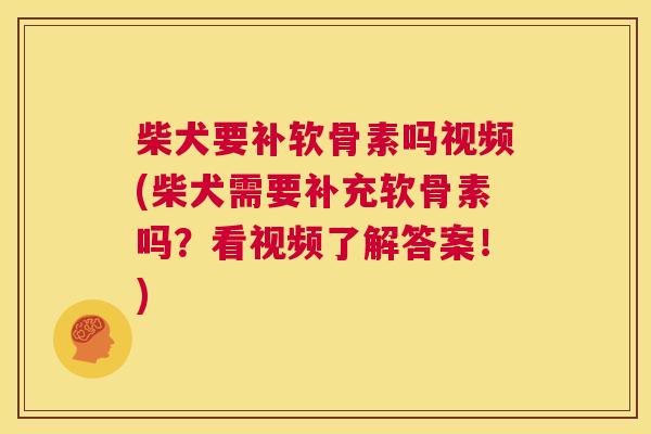 柴犬要补软骨素吗视频(柴犬需要补充软骨素吗？看视频了解答案！)