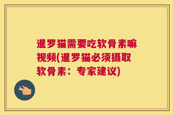 暹罗猫需要吃软骨素嘛视频(暹罗猫必须摄取软骨素:专家建议)
