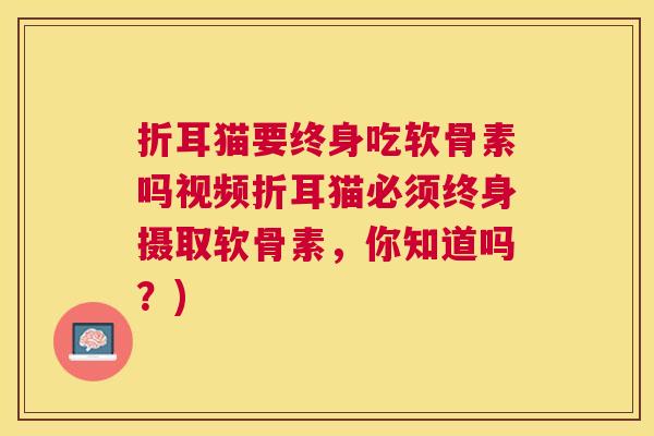 折耳猫要终身吃软骨素吗视频折耳猫必须终身摄取软骨素，你知道吗？)