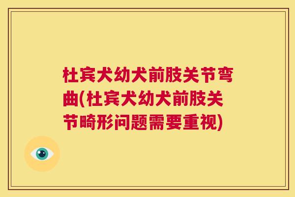 杜宾犬幼犬前肢关节弯曲(杜宾犬幼犬前肢关节畸形问题需要重视)