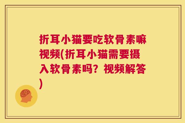 折耳小猫要吃软骨素嘛视频(折耳小猫需要摄入软骨素吗？视频解答)