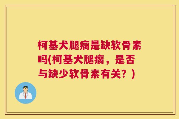 柯基犬腿瘸是缺软骨素吗(柯基犬腿瘸,是否与缺少软骨素有关?) 柯基犬腿瘸是缺软骨素吗(柯基犬腿瘸,是否与缺少软骨素有关?)