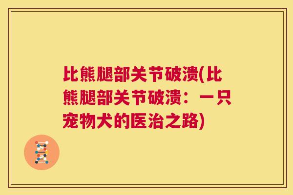 比熊腿部关节破溃(比熊腿部关节破溃:一只宠物犬的医之路) 比熊腿部关节破溃(比熊腿部关节破溃:一只宠物犬的医之路)