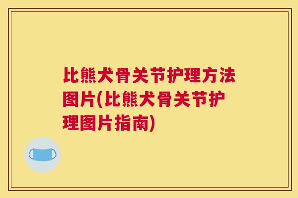 比熊犬骨关节护理方法图片(比熊犬骨关节护理图片指南)
