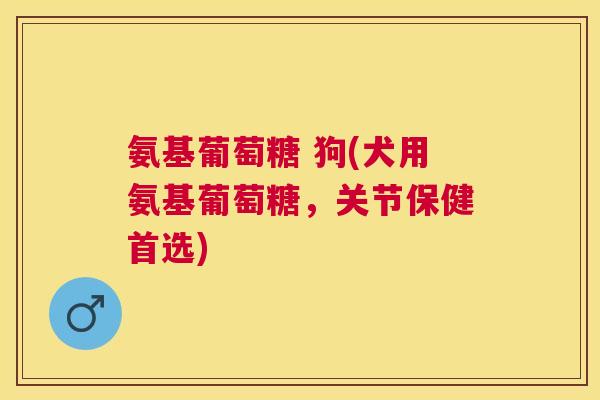 氨基葡萄糖 狗(犬用氨基葡萄糖,关节保健首选) 氨基葡萄糖 狗(犬用氨基葡萄糖,关节保健首选)