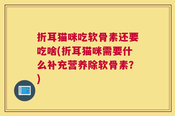 折耳猫咪吃软骨素还要吃啥(折耳猫咪需要什么补充营养除软骨素?)