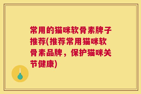 常用的猫咪软骨素牌子推荐(推荐常用猫咪软骨素品牌,保护猫咪关节健康)