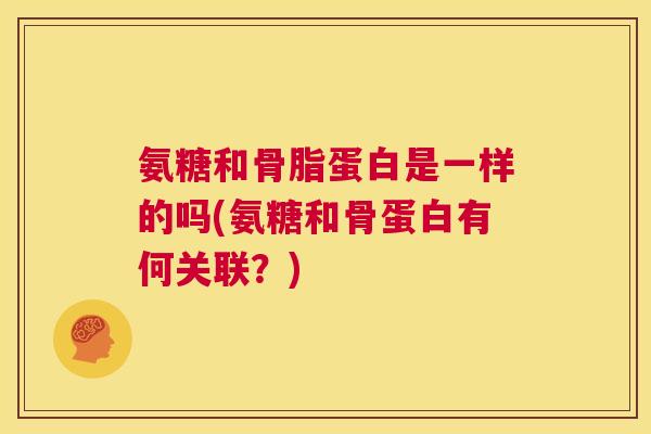 氨糖和骨脂蛋白是一样的吗(氨糖和骨蛋白有何关联？)