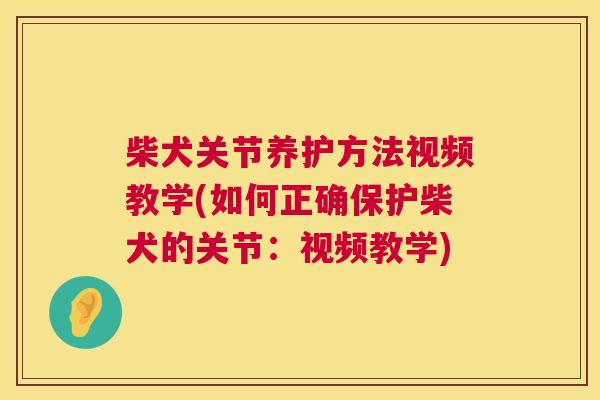 柴犬关节养护方法视频教学(如何正确保护柴犬的关节:视频教学)