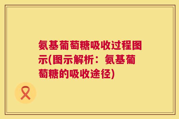 氨基葡萄糖吸收过程图示(图示解析:氨基葡萄糖的吸收途径) 氨基葡萄糖吸收过程图示(图示解析:氨基葡萄糖的吸收途径)