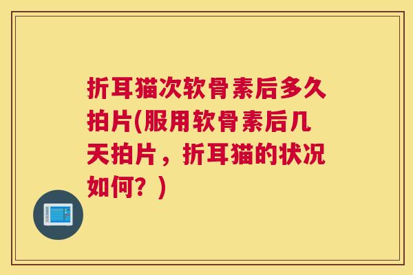 折耳猫次软骨素后多久拍片(服用软骨素后几天拍片，折耳猫的状况如何？)