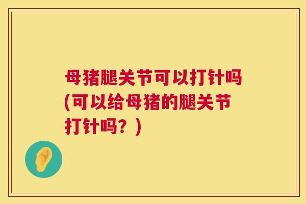 母猪腿关节可以打针吗(可以给母猪的腿关节打针吗?) 母猪腿关节可以打针吗(可以给母猪的腿关节打针吗?)
