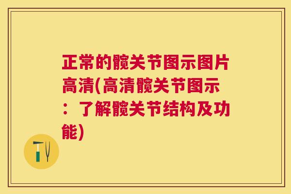 正常的髋关节图示图片高清(高清髋关节图示:了解髋关节结构及功能)
