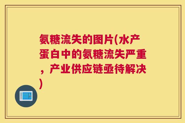 氨糖流失的图片(水产蛋白中的氨糖流失严重,产业供应链亟待解决)