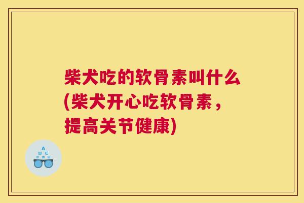 柴犬吃的软骨素叫什么(柴犬开心吃软骨素,提高关节健康)