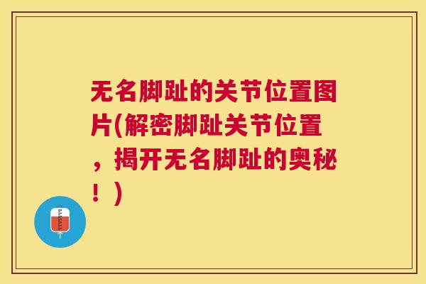无名脚趾的关节位置图片(解密脚趾关节位置，揭开无名脚趾的奥秘！)