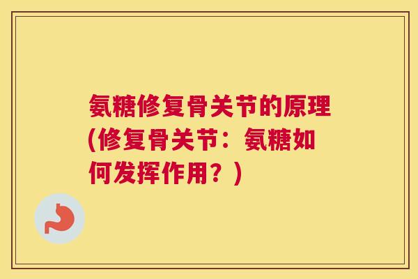 氨糖修复骨关节的原理(修复骨关节:氨糖如何发挥作用?)