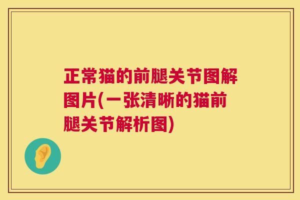 正常猫的前腿关节图解图片(一张清晰的猫前腿关节解析图)