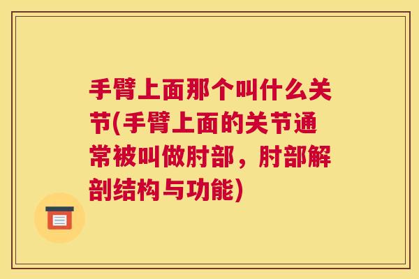 手臂上面那个叫什么关节(手臂上面的关节通常被叫做肘部,肘部解剖结构与功能)