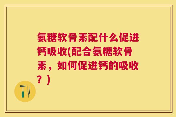 氨糖软骨素配什么促进钙吸收(配合氨糖软骨素,如何促进钙的吸收?)