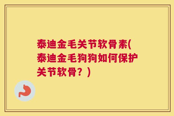 泰迪金毛关节软骨素(泰迪金毛狗狗如何保护关节软骨？)