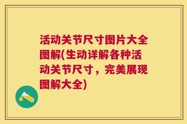 活动关节尺寸图片大全图解(生动详解各种活动关节尺寸,完美展现图解大全) 活动关节尺寸图片大全图解(生动详解各种活动关节尺寸,完美展现图解大全)