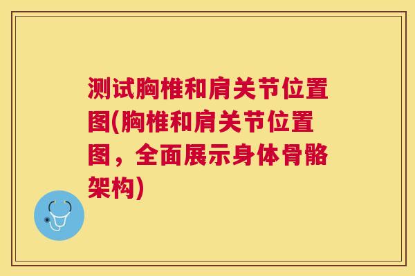 测试胸椎和肩关节位置图(胸椎和肩关节位置图,全面展示身体骨骼架构)