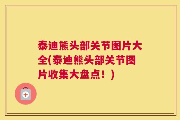 泰迪熊头部关节图片大全(泰迪熊头部关节图片收集大盘点！)