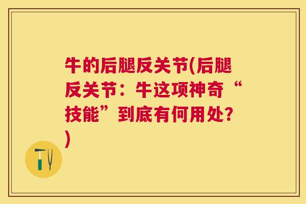 牛的后腿反关节(后腿反关节:牛这项神奇“技能”到底有何用处?)