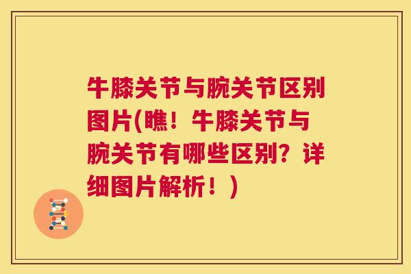 牛膝关节与腕关节区别图片(瞧!牛膝关节与腕关节有哪些区别?详细图片解析!)
