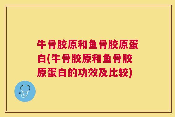 牛骨胶原和鱼骨胶原蛋白(牛骨胶原和鱼骨胶原蛋白的功效及比较)